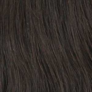 Zury Sis Only Brazilian Virgin Remy Closure - ONLY BRZ HD 13X4 CLOSURE STRAIGHT 12